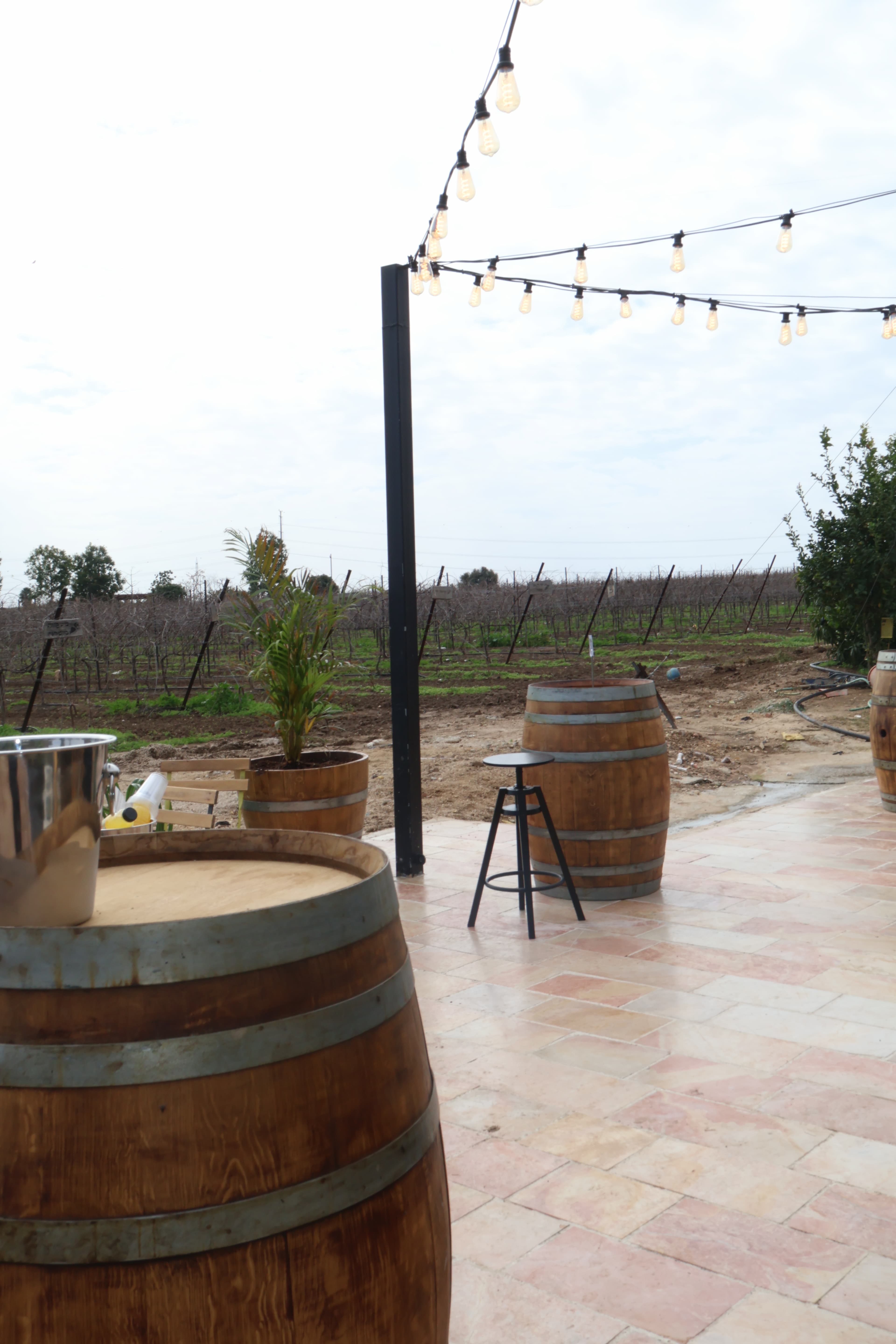 הכרם ממבט על